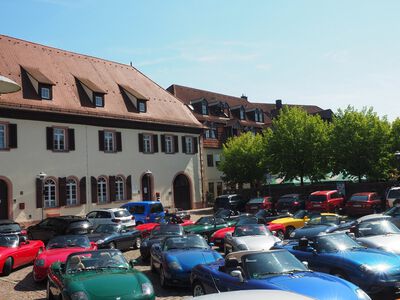 Foto von Martina Brandt